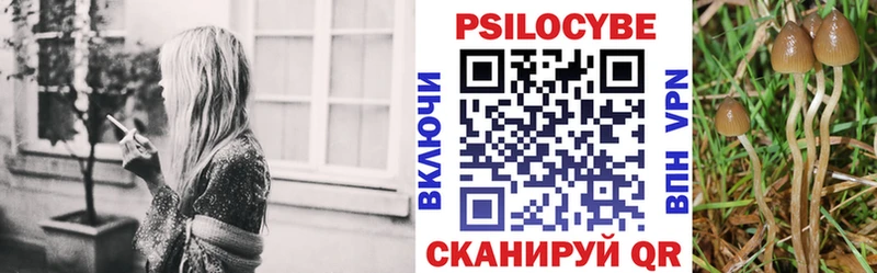 Купить закладки  Ипатово  Псилоцибиновые грибы MAGIC MUSHROOMS 